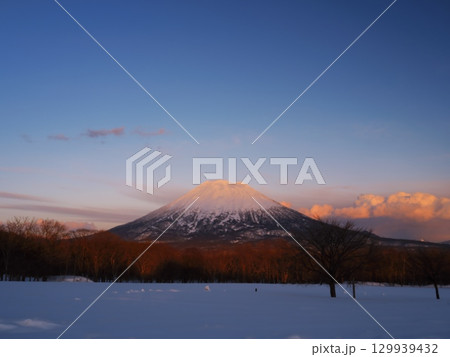 冬の北海道ニセコ　高橋牧場から夕照の羊蹄山を臨む 129939432