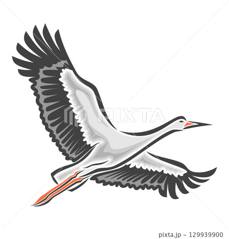 Vector illustration of flying Stork Vector illustration of flying Stork 129939900