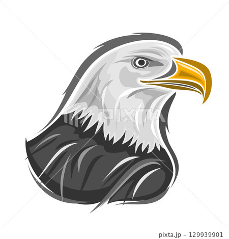 Vector illustration of Bald Eagle 129939901