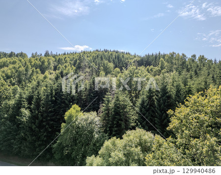 Thommen, Liege, Belgium, A Beautiful Lush Green Forest Landscape Beneath a Clear and Bright Blue Sky Thommen, Liege, Belgium, A Beautiful Lush Green Forest Landscape Beneath a Clear and Bright Blue Sky 129940486