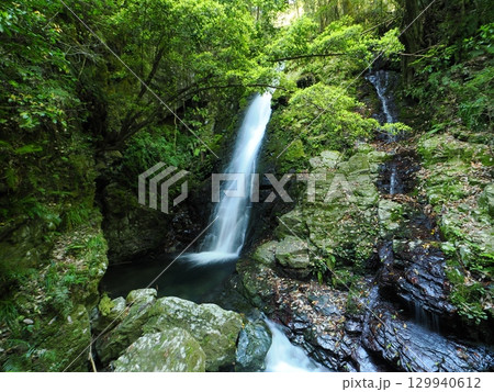 山口市・金鶏の滝(女滝) 山口市・金鶏の滝(女滝) 129940612