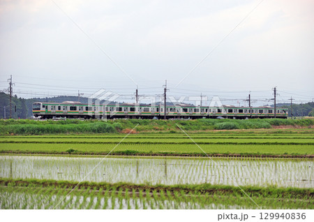 東北本線　片岡－蒲須坂　JR東日本　E231系1000番台 129940836
