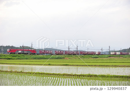 東北本線　片岡－蒲須坂　JR貨物　EH500（仙台） 129940837
