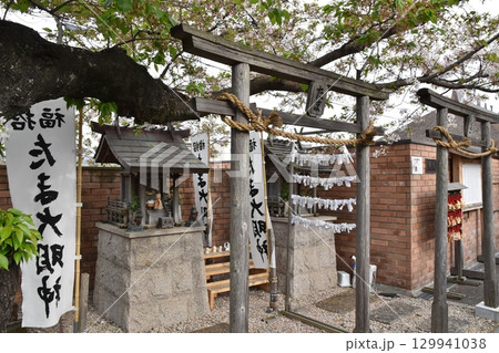 貴志駅のたま神社 和歌山 貴志駅のたま神社 和歌山 129941038