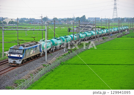 東北本線 東鷲宮ー栗橋 JR貨物 EF210-131(新鶴見) 東北本線 東鷲宮ー栗橋 JR貨物 EF210-131(新鶴見) 129941095