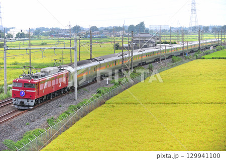 東北本線　東鷲宮ー栗橋　JR東日本　EF81-80（田端）+E26系（尾久）　カシオペア 129941100