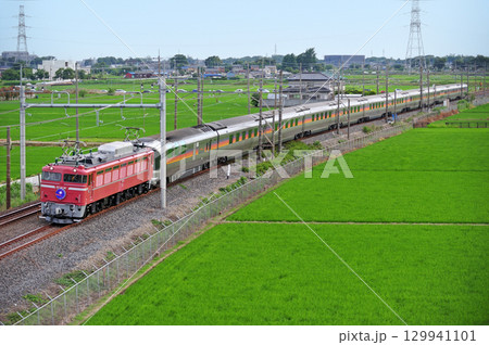 東北本線　東鷲宮ー栗橋　JR東日本　EF81-81（田端）+E26系（尾久）　カシオペア 129941101