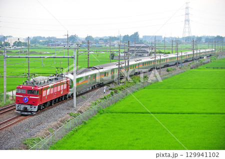東北本線　東鷲宮ー栗橋　JR東日本　EF81-97（田端）+E26系（尾久）　カシオペア 129941102