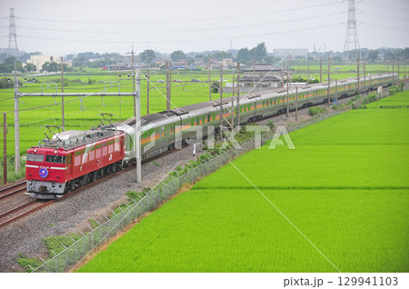 東北本線　東鷲宮ー栗橋　JR東日本　EF81-98（田端）+E26系（尾久）　カシオペア 129941103