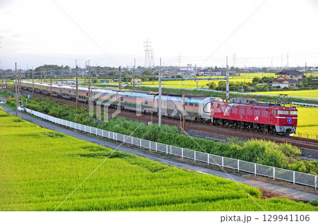 東北本線 東鷲宮ー栗橋 JR東日本 EF81-133(田端)+E26系(尾久) カシオペア 東北本線 東鷲宮ー栗橋 JR東日本 EF81-133(田端)+E26系(尾久) カシオペア 129941106