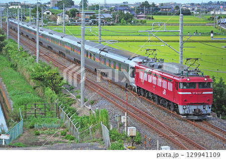 東北本線 栗橋ー東鷲宮 JR東日本 EF81-133(田端)+E26系(尾久) カシオペア 回送 東北本線 栗橋ー東鷲宮 JR東日本 EF81-133(田端)+E26系(尾久) カシオペア 回送 129941109