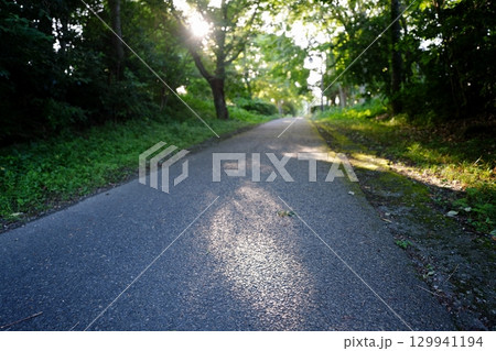 木漏れ日 129941194