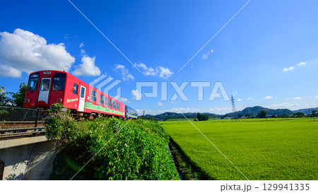 秋田内陸線　青空と水田　仮設展望台より　秋田県 129941335