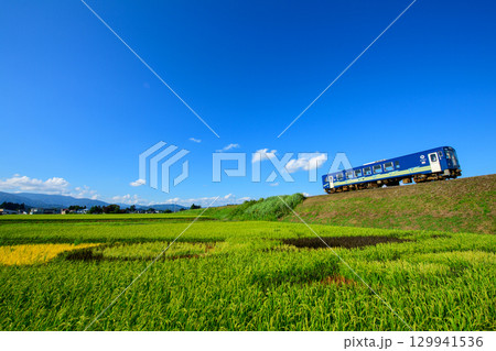 青空と田んぼアート　秋田内陸線　秋田県 129941536