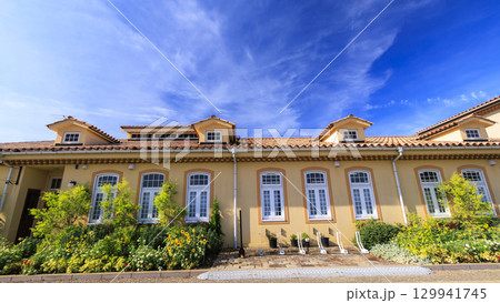 神奈川県横須賀市ソレイユの丘の夏 129941745