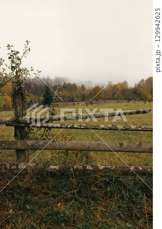 Pasture in autumn mountains. Valley of the Carpathian mountains in morning fog. Meadow  behind wooden fence in forest, Ukraine. Scenic autumn landscape. Rural autumn.Village lifestyle. Scenic woodland 129942025