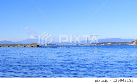 湘南（逗子・葉山）の冬 129942153