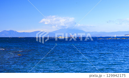 湘南（逗子・葉山）の冬 129942175