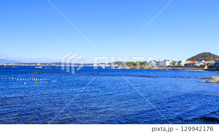 湘南（逗子・葉山）の冬 129942176