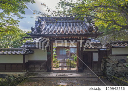 滋賀大津 西教寺 塔頭禅林坊 129942286