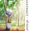 World in Hand and Blurred Beautiful Bokeh in the Garden Background. World environment and earth day with tree planting and green earth on volunteering hands. 129942439