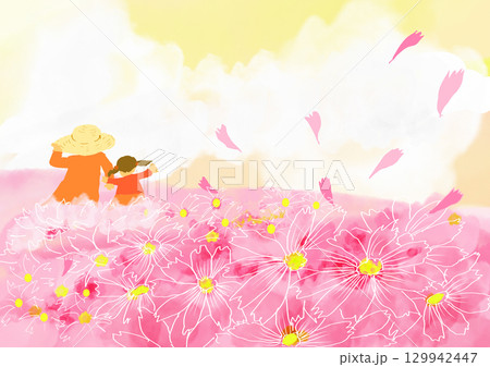 コスモスの花のある風景 129942447