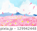 コスモスのある風景 129942448