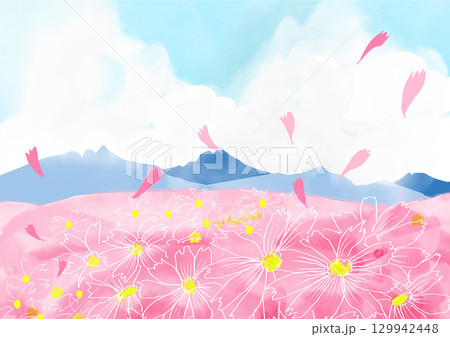 コスモスのある風景 129942448