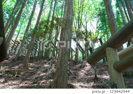 立里荒神社参道の鳥居と初夏の日差し3　奈良県吉野郡野迫川村 129942944