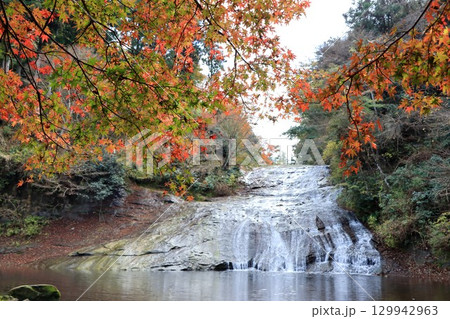 紅葉と粟又の滝 129942963