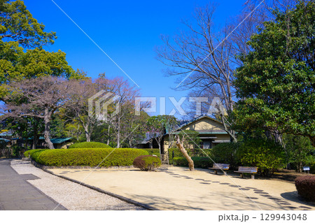 【千葉県　松戸】戸定邸の風景 129943048