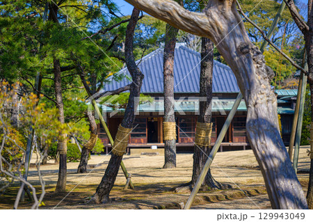 【千葉県　松戸】戸定邸の風景 129943049