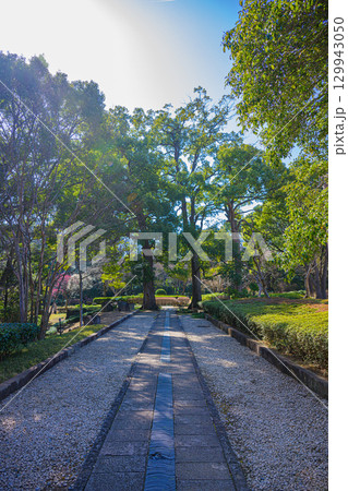 【千葉県　松戸】戸定邸の風景 129943050