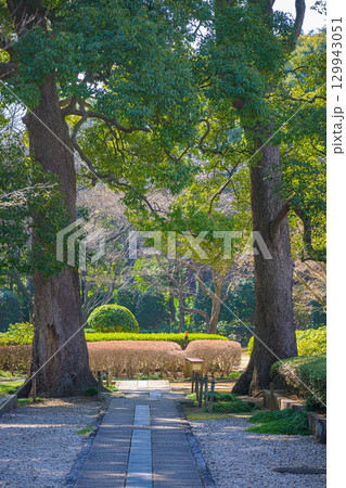 【千葉県　松戸】戸定邸の風景 129943051
