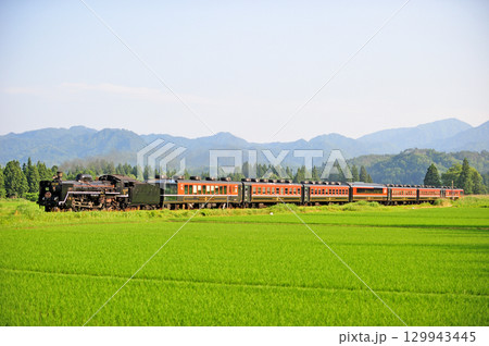 磐越西線 野沢-上野尻 JR東日本 C57-180+12系(新津) SLばんえつ物語 磐越西線 野沢-上野尻 JR東日本 C57-180+12系(新津) SLばんえつ物語 129943445