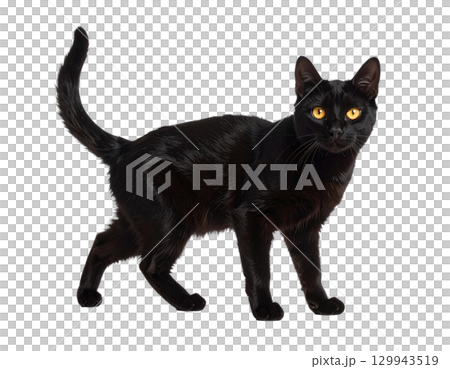 ハロウィンの黒猫 イラスト（ミニマルデザイン・透過） 129943519