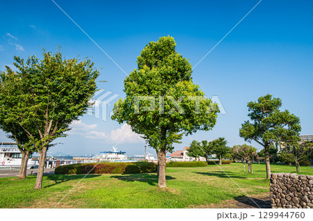 琵琶湖　大津湖岸なぎさ公園　滋賀県大津市 129944760