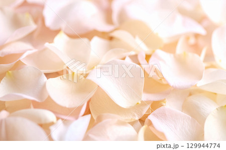 ベージュの花びらの背景 129944774