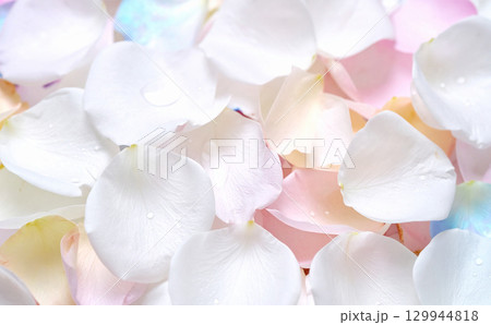 白い花びらの背景 白い花びらの背景 129944818