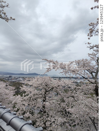 紀三井寺 129945127