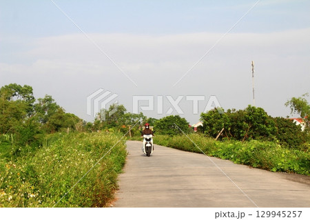 rural road in vietnam with people riding bicycles and motorbikes 129945257