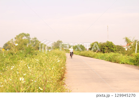 rural road in vietnam with people riding bicycles and motorbikes 129945270