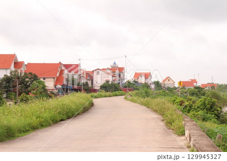 rural road in vietnam with people riding bicycles and motorbikes 129945327