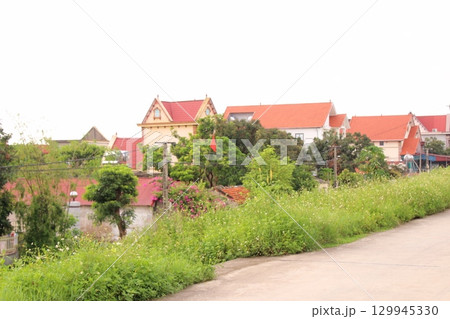 rural road in vietnam with people riding bicycles and motorbikes rural road in vietnam with people riding bicycles and motorbikes 129945330