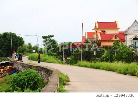 rural road in vietnam with people riding bicycles and motorbikes 129945336
