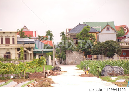 rural road in vietnam with people riding bicycles and motorbikes 129945463