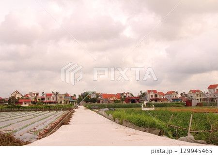 rural road in vietnam with people riding bicycles and motorbikes 129945465