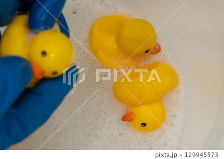 Cleaning Yellow Rubber Ducks in Warm Soapy Water for a Fun and Joyful Experience Cleaning Yellow Rubber Ducks in Warm Soapy Water for a Fun and Joyful Experience 129945573