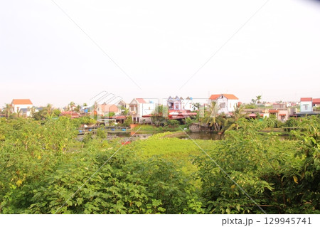 Rice fields in Vietnam. There are green rice fields in the field. Farmers work on them. In the background are villages and country roads Rice fields in Vietnam. There are green rice fields in the field. Farmers work on them. In the background are villages and country roads 129945741