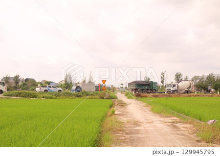 Rice fields in Vietnam. There are green rice fields in the field. Farmers work on them. In the background are villages and country roads Rice fields in Vietnam. There are green rice fields in the field. Farmers work on them. In the background are villages and country roads 129945795